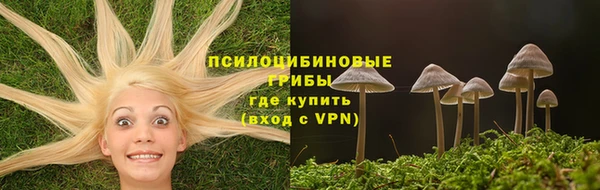 гидра Аркадак