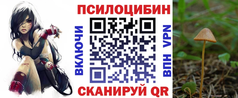 Купить  Кузнецк  Псилоцибиновые грибы прущие грибы 